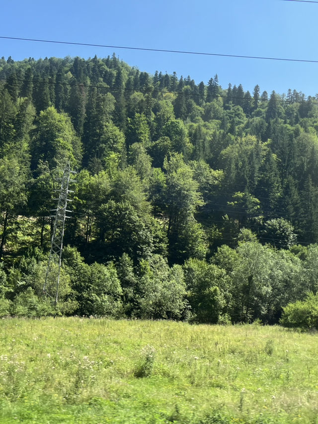 day out in Transylvania - Dracula’s castle, Brasov and Peleş castle day out in Transylvania - Dracula’s castle, Brasov and Peleş castle