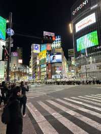Exploring Tokyo’s busiest, most iconic districts means you’re in for a total sensory overload! 