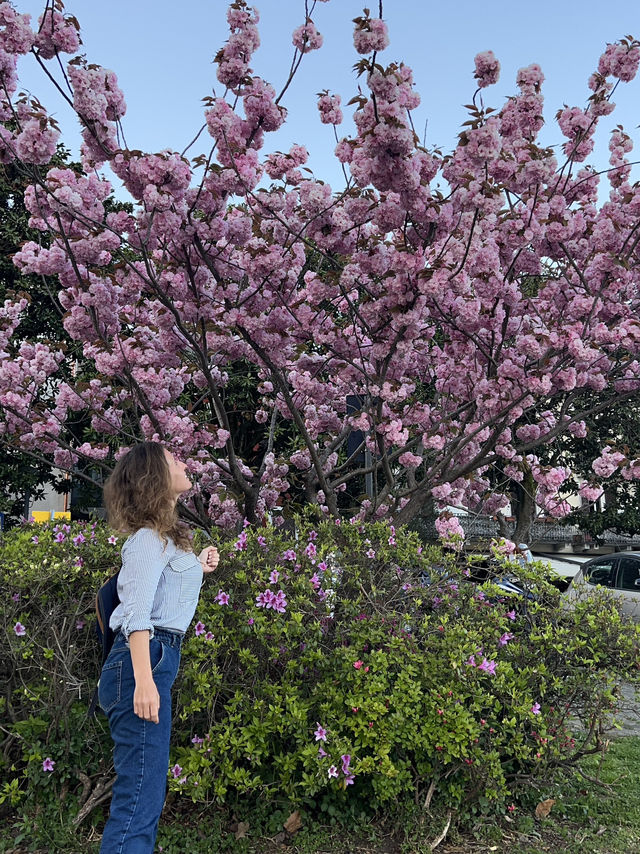 🌊✨ Four Days Around Lake Maggiore — A Peaceful Escape 🌊✨ Four Days Around Lake Maggiore — A Peaceful Escape
