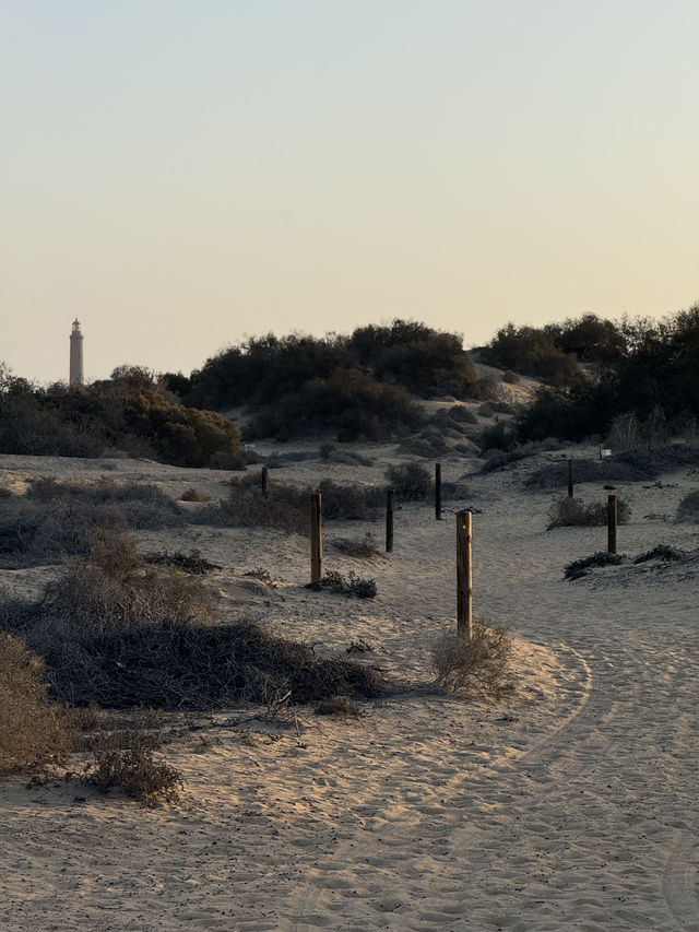 The Dunes of Maspalomas, Gran Canaria 🏜️