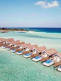 Why Bother Living Anywhere Else When You've Found Paradise? ✈️🌴🍹