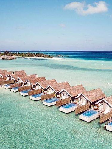 Why Bother Living Anywhere Else When You've Found Paradise? ✈️🌴🍹