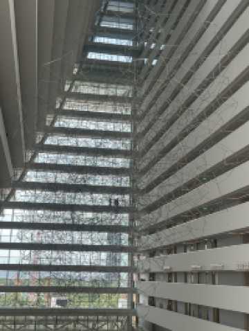 getting ready for Christmas! ✨🎁