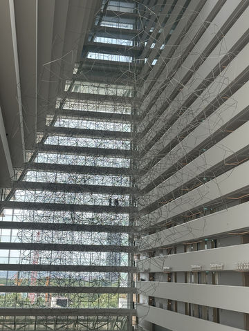 getting ready for Christmas! ✨🎁 getting ready for Christmas! ✨🎁