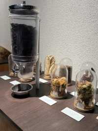 Музей шоколада в Кольмаре