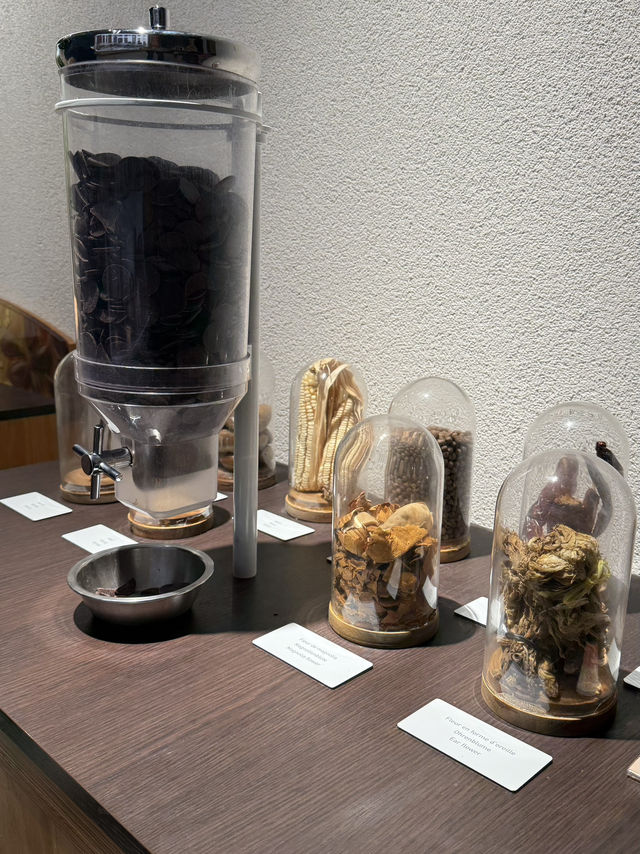 Музей шоколада в Кольмаре Музей шоколада в Кольмаре