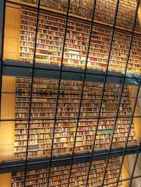 Baltic Gems in Riga✨