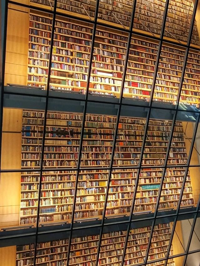 Baltic Gems in Riga✨ Baltic Gems in Riga✨