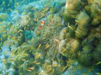 Long Beach на Пхи‑Пхи Дон: тихий рай вдали от толп