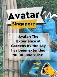 The Avatar experience extends till June 30! 😍