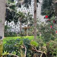 Shanghai’s Gardens 