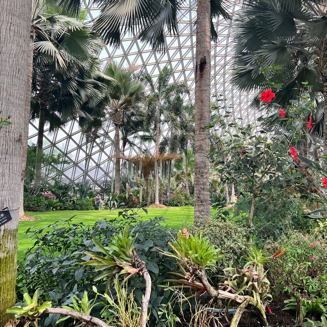Shanghai’s Gardens 