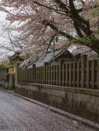 The ordinary street view looks better with flowers.