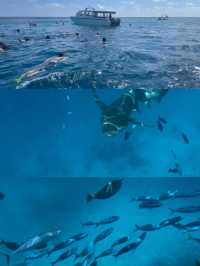 Mahe Island Travel Guide 1