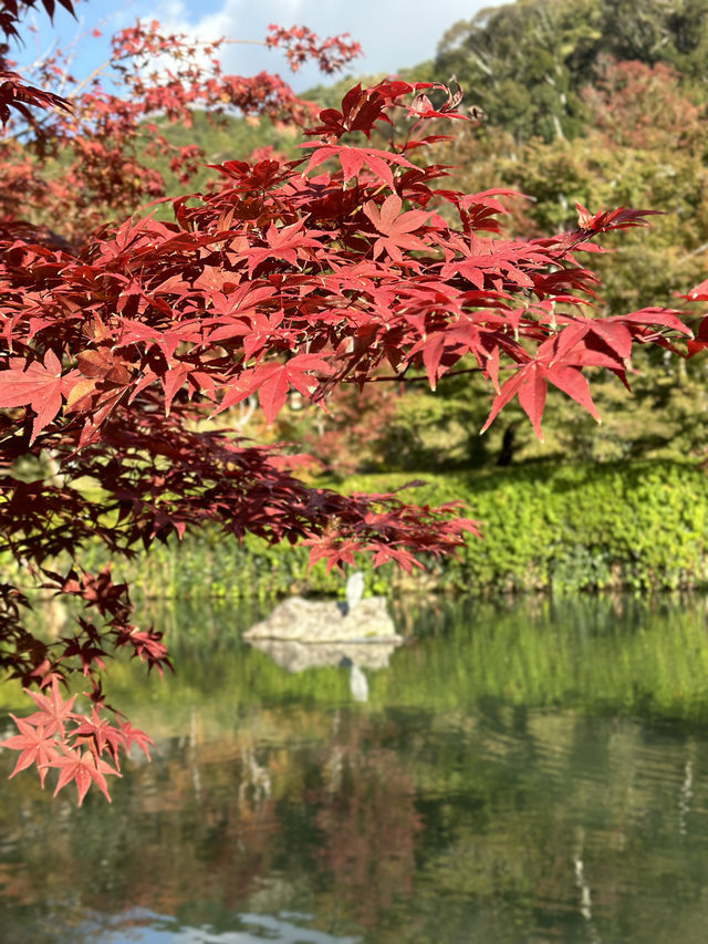 京都紅葉祭永觀堂