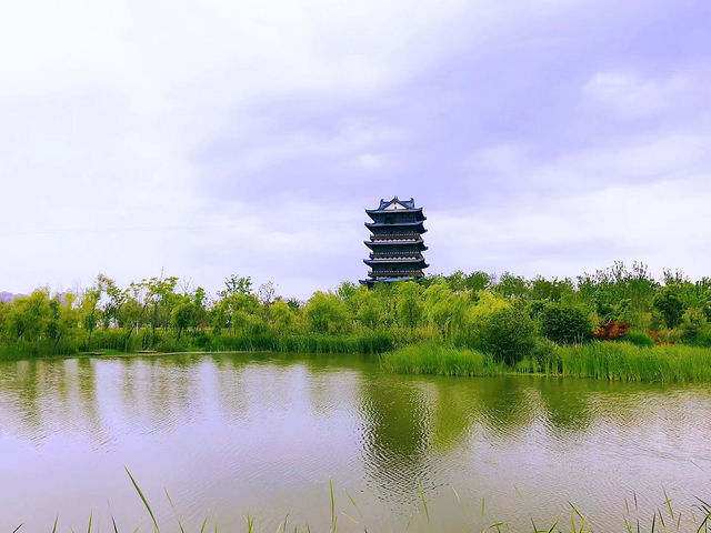 雖由人作，宛自天成：祥源花世界星球花園濕地公園