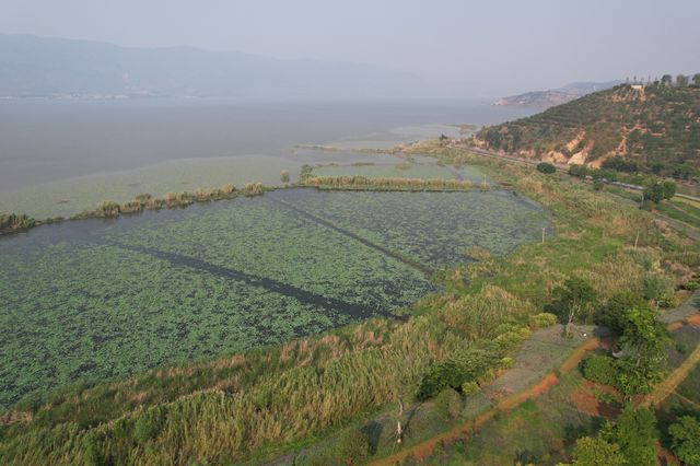 異龍湖是雲南省九大高原湖泊之一，是石屏人民的母親湖，屬省級風景名勝區
