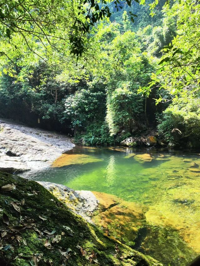 意猶未盡的八寨溝