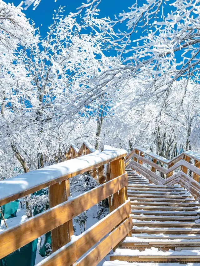 You don't have to go to the northeast, Zhejiang also has this kind of snow scene