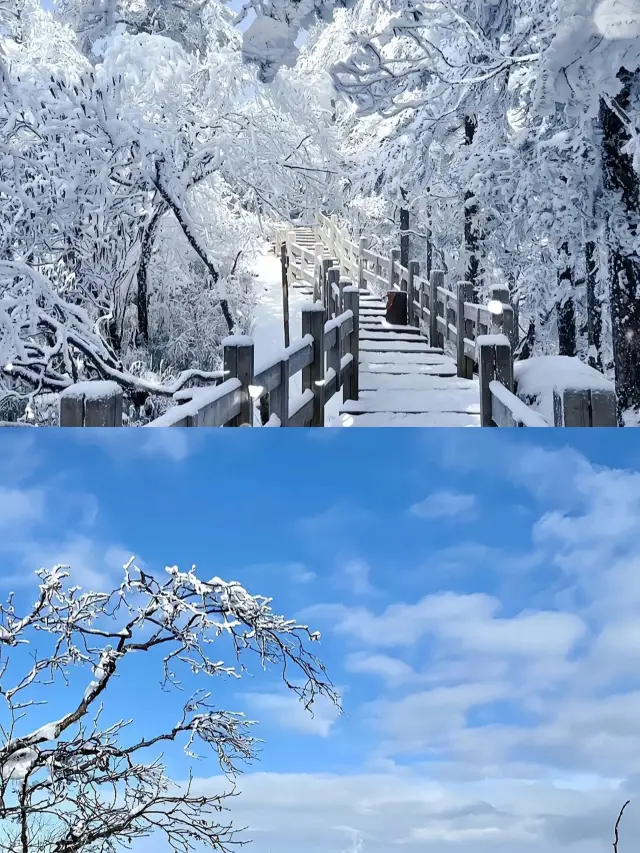 It's not that Norway is unaffordable, but Xiling Snow Mountain offers better value for money when it comes to snow viewing