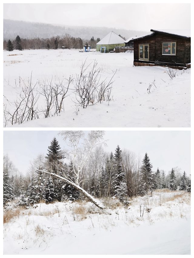 有遺憾也有驚喜，長白山西坡之旅，偶遇雪凇奇觀