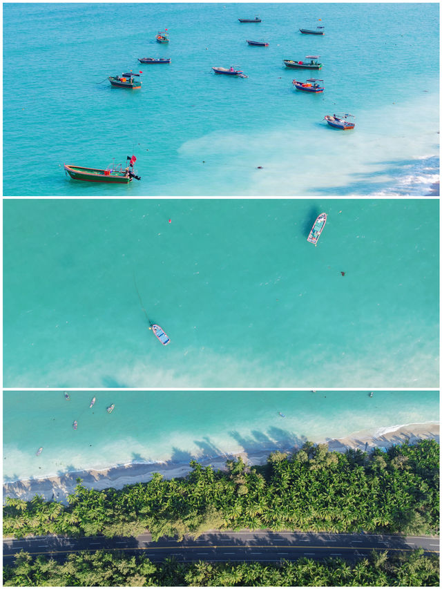 不是東南亞是海南瓊海牛奶海美哭了