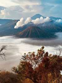 去Bromo火山，聽地球的心跳