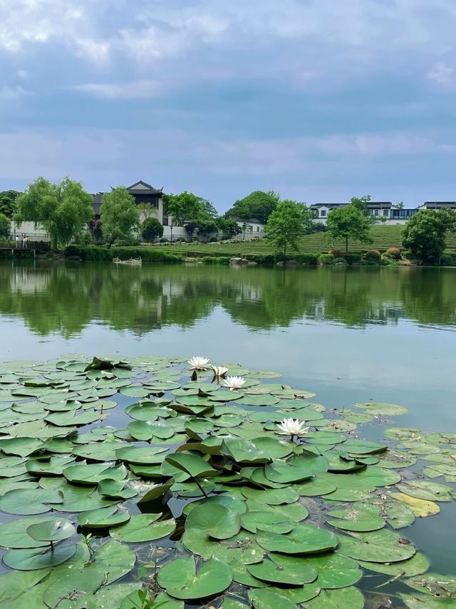 新昌住宿｜新昌尊藍山居