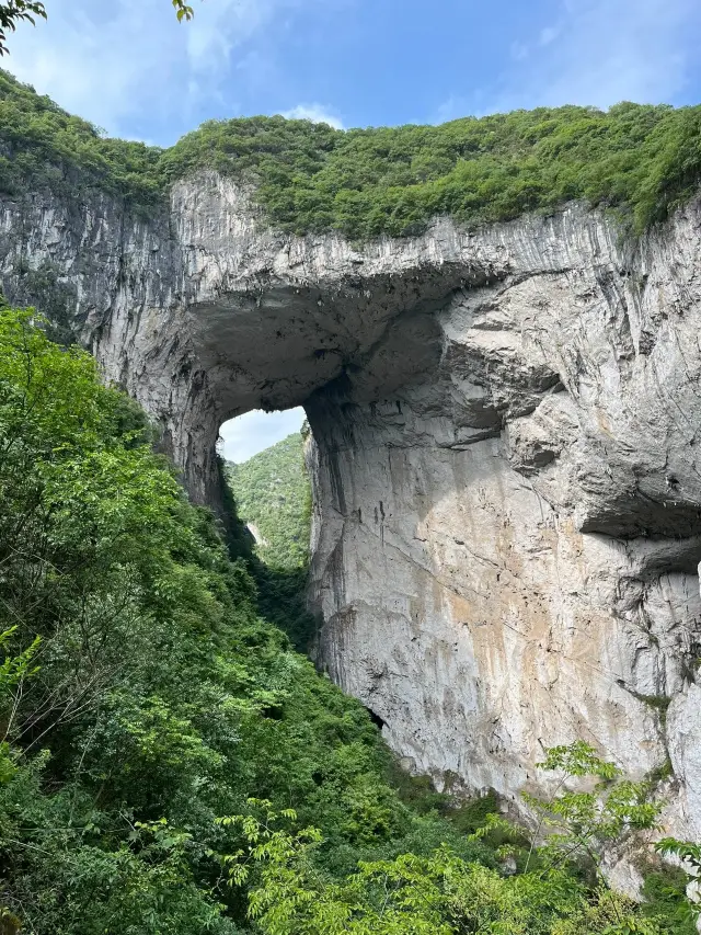 경주 안순 대성의 눈은 대성의 불금눈과 같아 보입니다