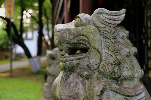 漫遊瓷都景德鎮