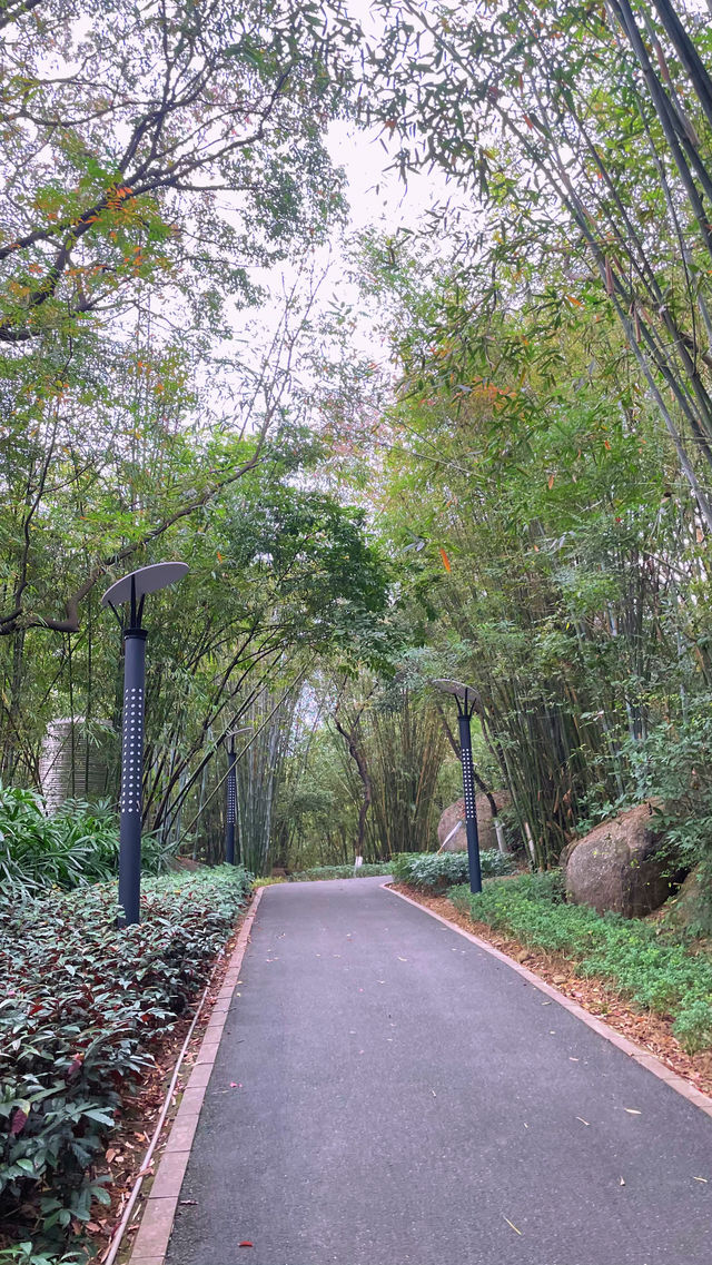 週末戶外新發現黃埔科學城環山公園