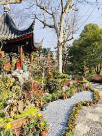 蠟梅展/真如公園
