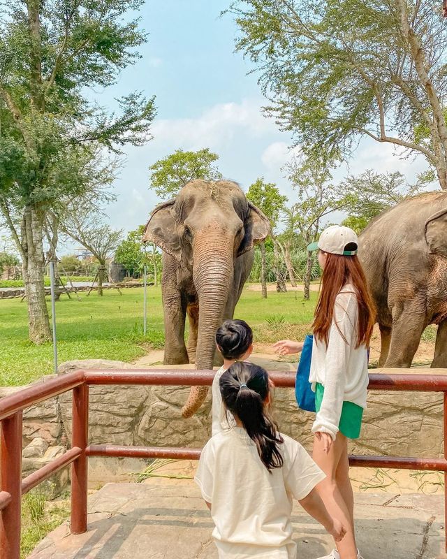 다낭 & 호이안 여행 아이와 가볼만한곳 🐤
남호이안 빈원더스 : 사파리편 🐘🦒