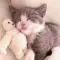 Johnson_Alice_2