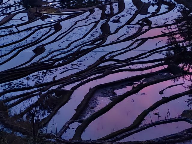 撒玛坝梯田