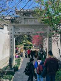 烏山風景區，賞花好去處