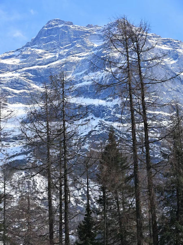 感受心中的神山，四姑娘山！