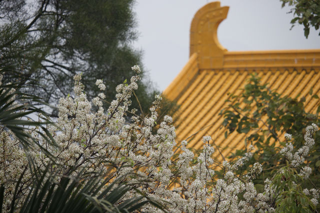 淨化心靈的地方～石室禪院