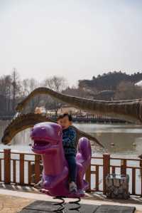 節假日別去自然博物館，顧村公園更香