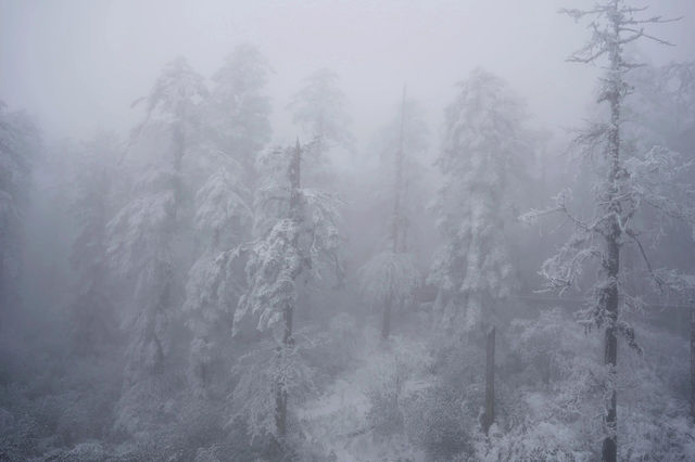 霧有多美妙，去了瓦屋山才知道