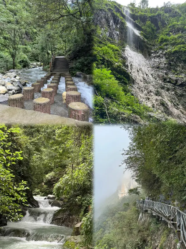 【Exploring the Mystical Realm·Journey to Chongqing Jinfo Mountain】