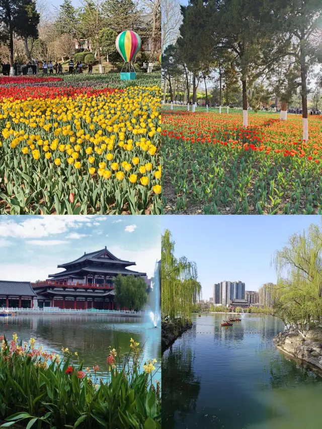 A Must-Visit in Spring! Xi'an Xingqing Park, taking you through a thousand years to find ancient charm