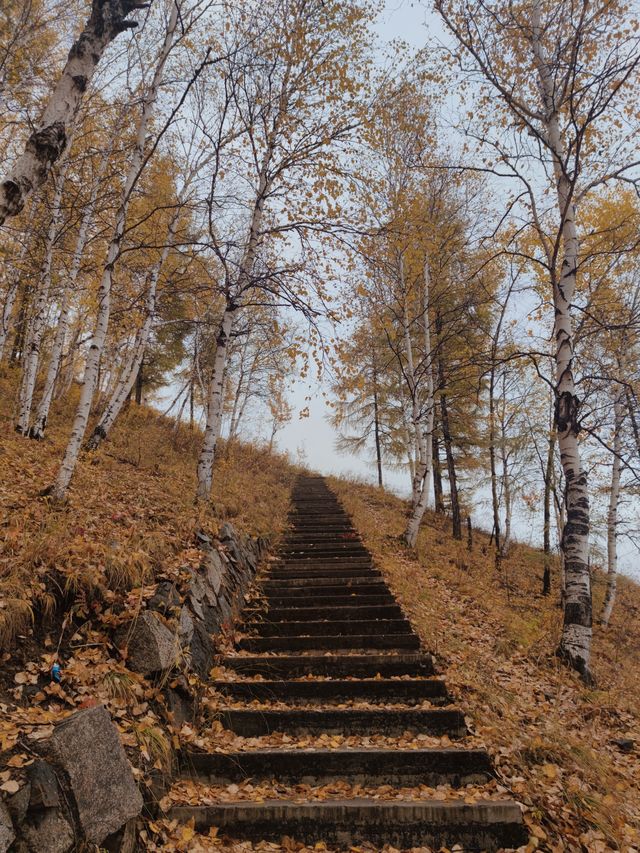 內蒙古｜呼倫貝爾有人居住的最北端，滿歸制高點