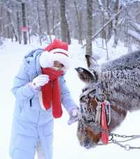 老里克湖，誤入冰雪童話世界