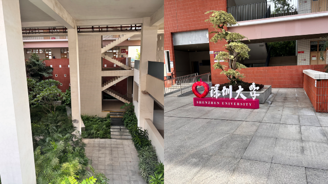 珠三角度假 | 深圳星河麗思卡爾頓酒店