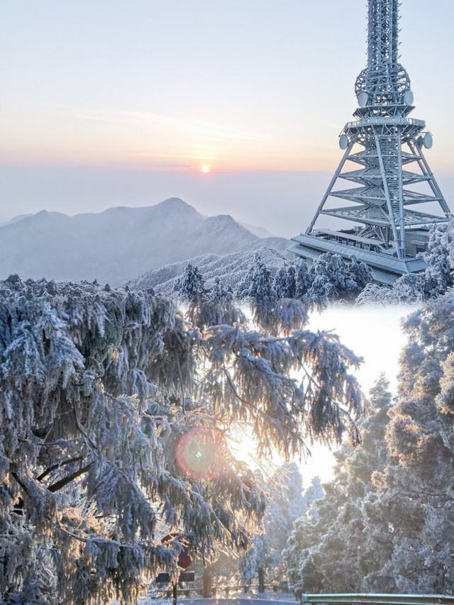 衡山大雪過後的雾凇真的美哭了