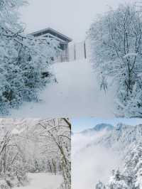 不是挪威去不起，西嶺雪山看雪更有性價比