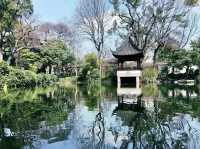 青浦曲水園-小而美的古典園林