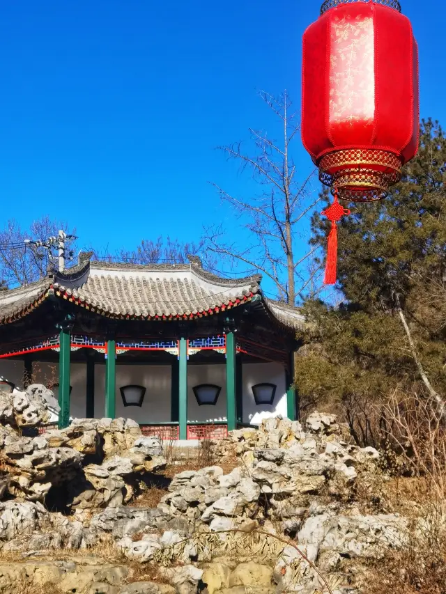 Visit the Chinese Garden Museum during the Spring Festival