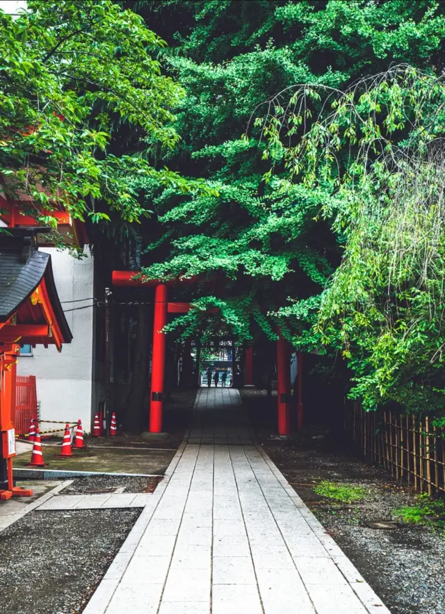 古色古香、鮮やかな朱色 - 東京花園神社